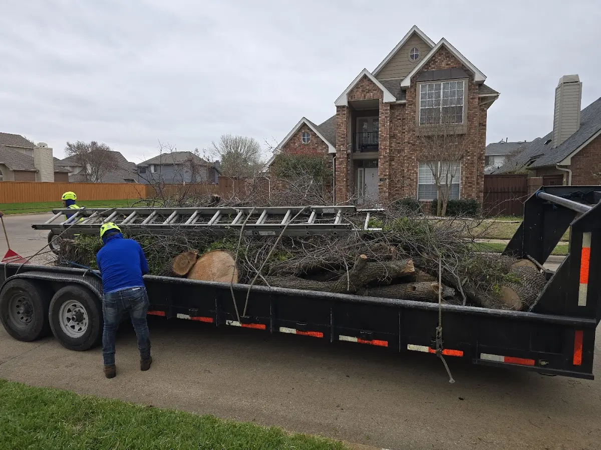 Expert Tree Fertilization with proper safety equipment in Racine